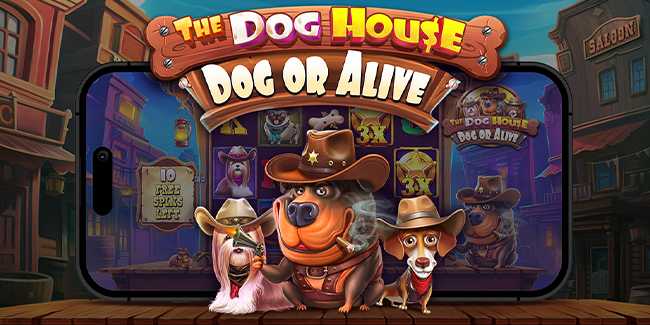 The Dog House - Dog or Alive
